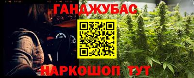 СК Кингисепп