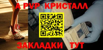СК Кингисепп