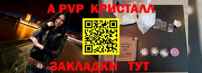 СК Кингисепп