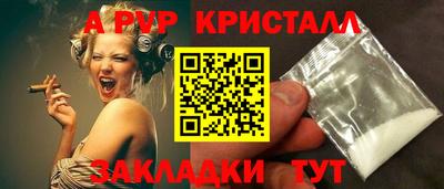 СК Кингисепп