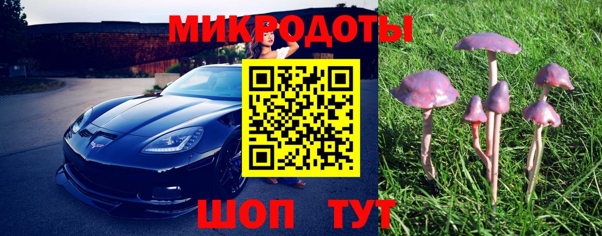 Ковров  Галлюциногенные грибы мухоморы  Вход с VPN  Псилоцибиновые грибы мухоморы 